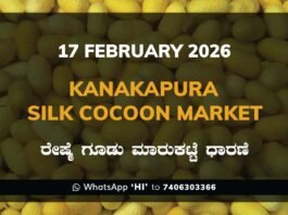 Kanakapura Silk Cocoon Market ಕನಕಪುರ ರೇಷ್ಮೆ ಗೂಡು ಮಾರುಕಟ್ಟೆ ಧಾರಣೆ