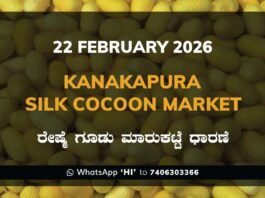 Kanakapura Silk Cocoon Market ಕನಕಪುರ ರೇಷ್ಮೆ ಗೂಡು ಮಾರುಕಟ್ಟೆ ಧಾರಣೆ