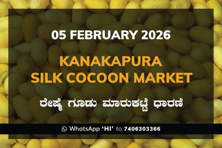 Kanakapura Silk Cocoon Market ಕನಕಪುರ ರೇಷ್ಮೆ ಗೂಡು ಮಾರುಕಟ್ಟೆ ಧಾರಣೆ