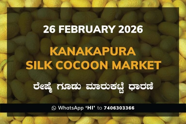 Kanakapura Silk Cocoon Market ಕನಕಪುರ ರೇಷ್ಮೆ ಗೂಡು ಮಾರುಕಟ್ಟೆ ಧಾರಣೆ
