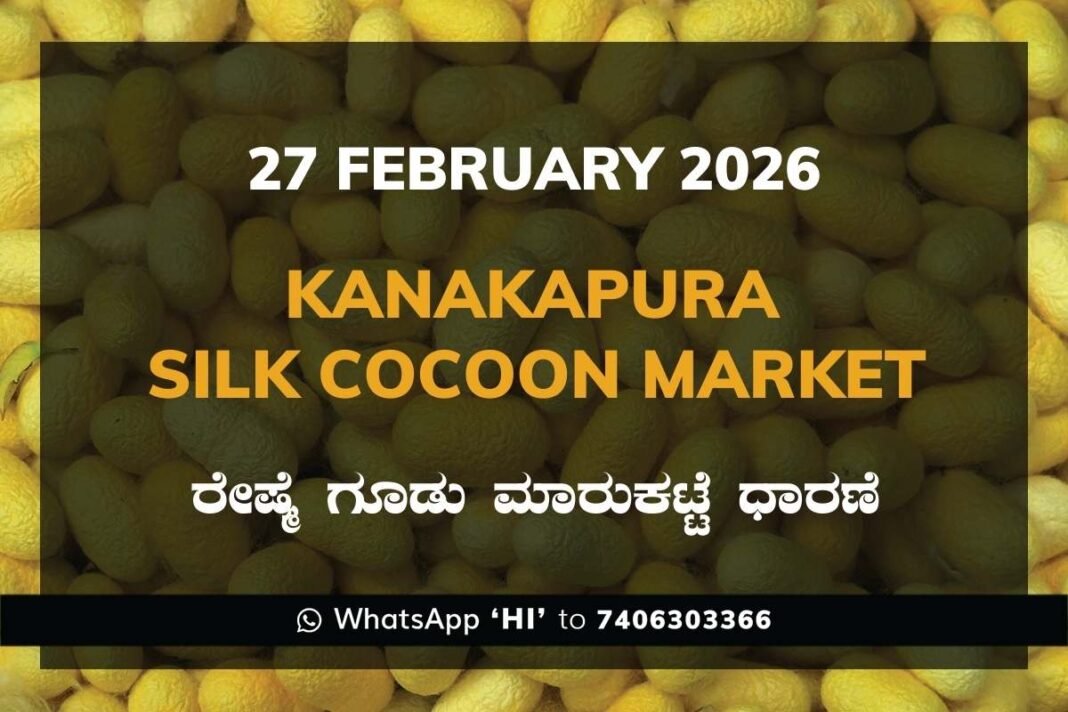 Kanakapura Silk Cocoon Market ಕನಕಪುರ ರೇಷ್ಮೆ ಗೂಡು ಮಾರುಕಟ್ಟೆ ಧಾರಣೆ