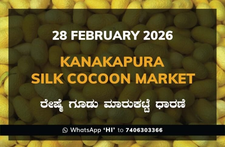 Kanakapura Silk Cocoon Market ಕನಕಪುರ ರೇಷ್ಮೆ ಗೂಡು ಮಾರುಕಟ್ಟೆ ಧಾರಣೆ