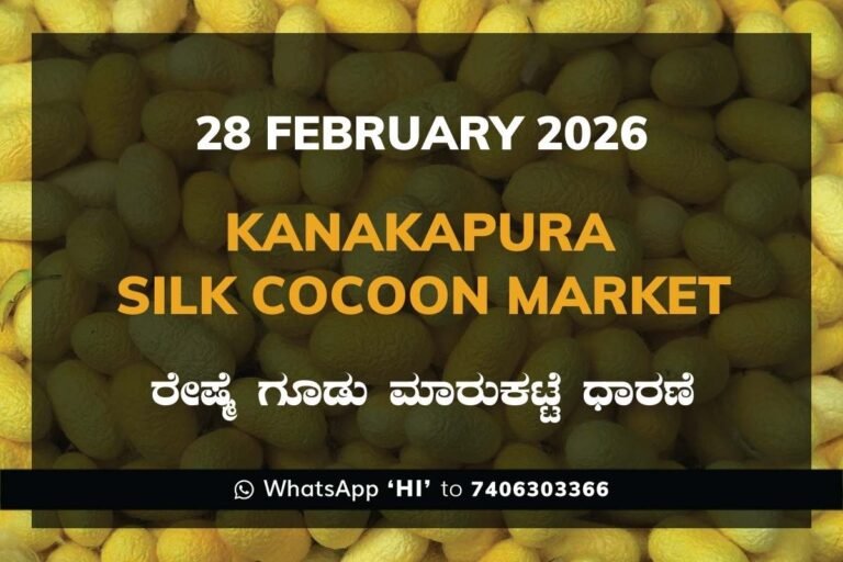 Kanakapura Silk Cocoon Market ಕನಕಪುರ ರೇಷ್ಮೆ ಗೂಡು ಮಾರುಕಟ್ಟೆ ಧಾರಣೆ