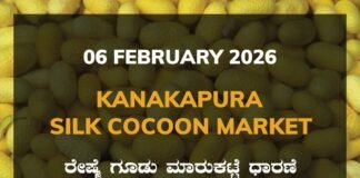 Kanakapura Silk Cocoon Market: 06 February 2026 Kanakapura Silk Cocoon Market ಕನಕಪುರ ರೇಷ್ಮೆ ಗೂಡು ಮಾರುಕಟ್ಟೆ ಧಾರಣೆ