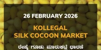 Kollegal Silk Cocoon Market: 26 February 2026 Kollegal Silk Cocoon Market Price Rate ಕೊಳ್ಳೇಗಾಲ ರೇಷ್ಮೆ ಗೂಡು ಮಾರುಕಟ್ಟೆ ಧಾರಣೆ