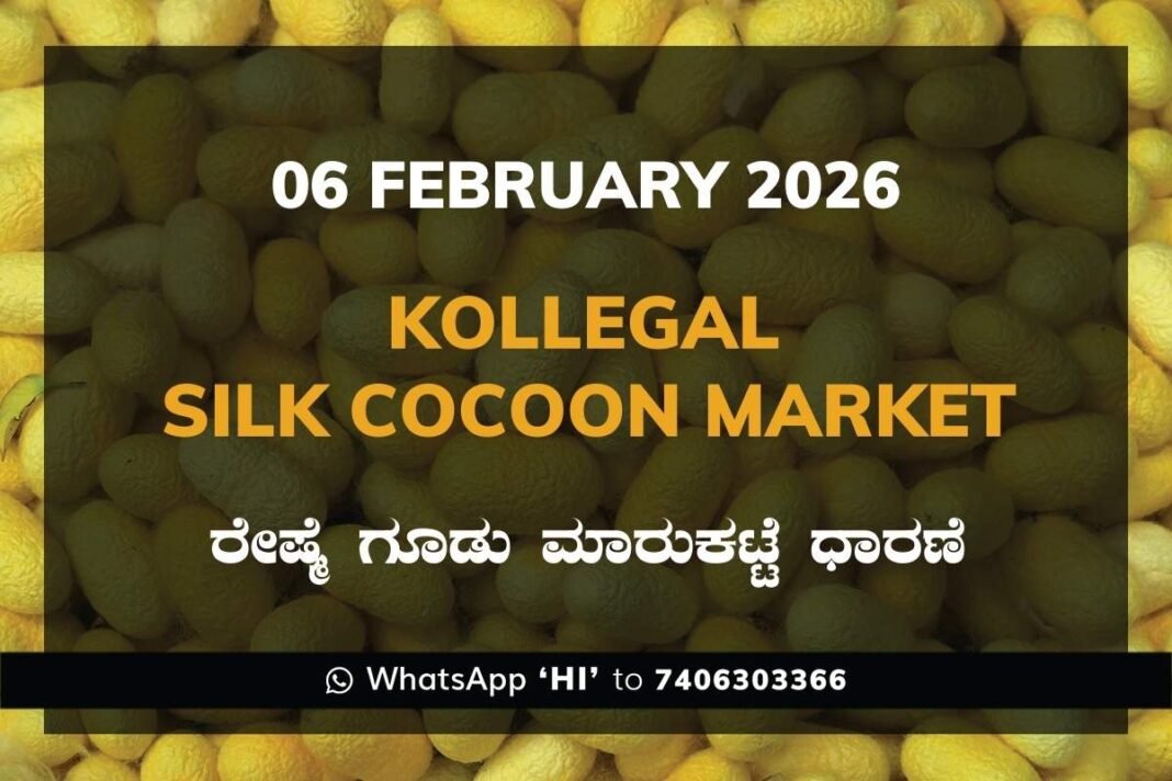 Kollegal Silk Cocoon Market Price Rate ಕೊಳ್ಳೇಗಾಲ ರೇಷ್ಮೆ ಗೂಡು ಮಾರುಕಟ್ಟೆ ಧಾರಣೆ