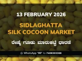 Sidlaghatta Government Silk Cocoon Market Daily Rate Report ಶಿಡ್ಲಘಟ್ಟ ರೇಷ್ಮೆ ಗೂಡು ಮಾರುಕಟ್ಟೆ ಧಾರಣೆ