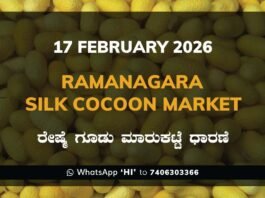 Ramanagara Silk Cocoon Market ರಾಮನಗರ ರೇಷ್ಮೆ ಗೂಡು ಮಾರುಕಟ್ಟೆ ಧಾರಣೆ