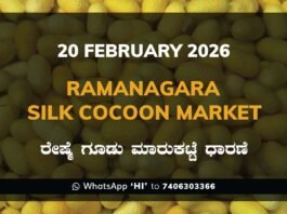 Ramanagara Silk Cocoon Market ರಾಮನಗರ ರೇಷ್ಮೆ ಗೂಡು ಮಾರುಕಟ್ಟೆ ಧಾರಣೆ