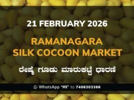 Ramanagara Silk Cocoon Market ರಾಮನಗರ ರೇಷ್ಮೆ ಗೂಡು ಮಾರುಕಟ್ಟೆ ಧಾರಣೆ