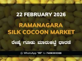 Ramanagara Silk Cocoon Market ರಾಮನಗರ ರೇಷ್ಮೆ ಗೂಡು ಮಾರುಕಟ್ಟೆ ಧಾರಣೆ