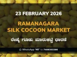 Ramanagara Silk Cocoon Market ರಾಮನಗರ ರೇಷ್ಮೆ ಗೂಡು ಮಾರುಕಟ್ಟೆ ಧಾರಣೆ