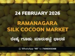 Ramanagara Silk Cocoon Market ರಾಮನಗರ ರೇಷ್ಮೆ ಗೂಡು ಮಾರುಕಟ್ಟೆ ಧಾರಣೆ