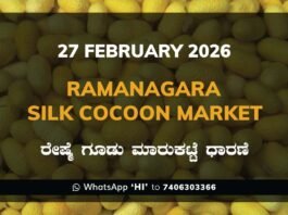 Ramanagara Silk Cocoon Market ರಾಮನಗರ ರೇಷ್ಮೆ ಗೂಡು ಮಾರುಕಟ್ಟೆ ಧಾರಣೆ