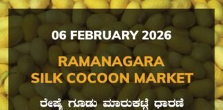 Ramanagara Silk Cocoon Market: 06 February 2026 Ramanagara Silk Cocoon Market ರಾಮನಗರ ರೇಷ್ಮೆ ಗೂಡು ಮಾರುಕಟ್ಟೆ ಧಾರಣೆ