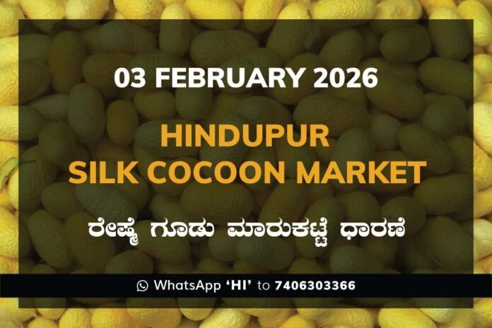 Hindupur Government Silk Cocoon Market Daily Rate Report ಹಿಂದೂಪುರ ರೇಷ್ಮೆ ಗೂಡು ಮಾರುಕಟ್ಟೆ ಧಾರಣೆ
