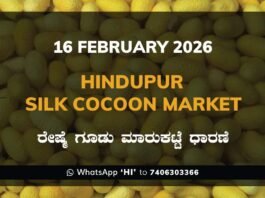 Hindupur Government Silk Cocoon Market Daily Rate Report ಹಿಂದೂಪುರ ರೇಷ್ಮೆ ಗೂಡು ಮಾರುಕಟ್ಟೆ ಧಾರಣೆ