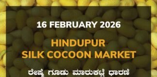 Hindupur Silk Cocoon Market: 16 February 2026 Hindupur Government Silk Cocoon Market Daily Rate Report ಹಿಂದೂಪುರ ರೇಷ್ಮೆ ಗೂಡು ಮಾರುಕಟ್ಟೆ ಧಾರಣೆ