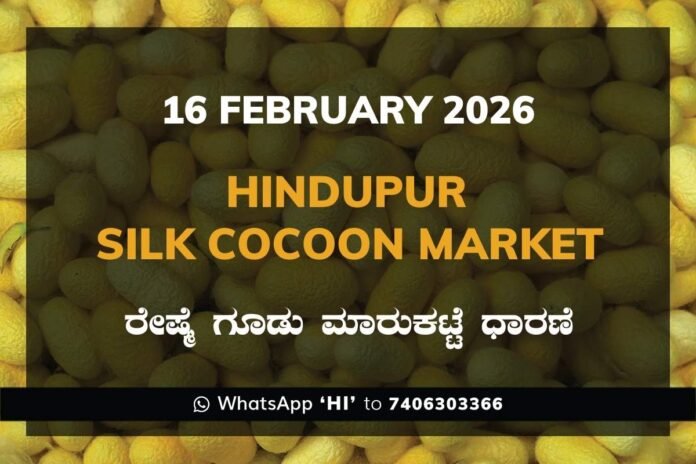 Hindupur Government Silk Cocoon Market Daily Rate Report ಹಿಂದೂಪುರ ರೇಷ್ಮೆ ಗೂಡು ಮಾರುಕಟ್ಟೆ ಧಾರಣೆ