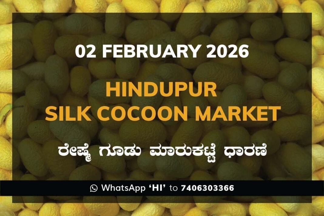 Hindupur Government Silk Cocoon Market Daily Rate Report ಹಿಂದೂಪುರ ರೇಷ್ಮೆ ಗೂಡು ಮಾರುಕಟ್ಟೆ ಧಾರಣೆ