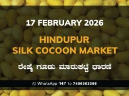 Hindupur Government Silk Cocoon Market Daily Rate Report ಹಿಂದೂಪುರ ರೇಷ್ಮೆ ಗೂಡು ಮಾರುಕಟ್ಟೆ ಧಾರಣೆ