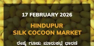 Hindupur Silk Cocoon Market: 17 February 2026 Hindupur Government Silk Cocoon Market Daily Rate Report ಹಿಂದೂಪುರ ರೇಷ್ಮೆ ಗೂಡು ಮಾರುಕಟ್ಟೆ ಧಾರಣೆ