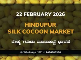 Hindupur Silk Cocoon Market: 22 February 2026 Hindupur Government Silk Cocoon Market Daily Rate Report ಹಿಂದೂಪುರ ರೇಷ್ಮೆ ಗೂಡು ಮಾರುಕಟ್ಟೆ ಧಾರಣೆ