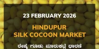 Hindupur Silk Cocoon Market: 23 February 2026 Hindupur Government Silk Cocoon Market Daily Rate Report ಹಿಂದೂಪುರ ರೇಷ್ಮೆ ಗೂಡು ಮಾರುಕಟ್ಟೆ ಧಾರಣೆ