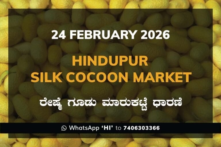 Hindupur Government Silk Cocoon Market Daily Rate Report ಹಿಂದೂಪುರ ರೇಷ್ಮೆ ಗೂಡು ಮಾರುಕಟ್ಟೆ ಧಾರಣೆ