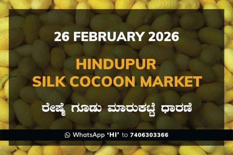 Hindupur Government Silk Cocoon Market Daily Rate Report ಹಿಂದೂಪುರ ರೇಷ್ಮೆ ಗೂಡು ಮಾರುಕಟ್ಟೆ ಧಾರಣೆ