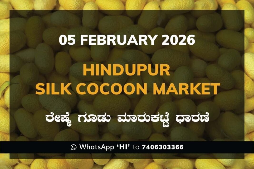 Hindupur Government Silk Cocoon Market Daily Rate Report ಹಿಂದೂಪುರ ರೇಷ್ಮೆ ಗೂಡು ಮಾರುಕಟ್ಟೆ ಧಾರಣೆ