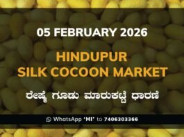 Hindupur Government Silk Cocoon Market Daily Rate Report ಹಿಂದೂಪುರ ರೇಷ್ಮೆ ಗೂಡು ಮಾರುಕಟ್ಟೆ ಧಾರಣೆ