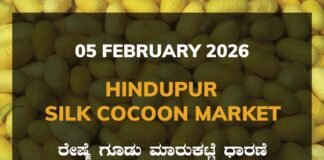 Hindupur Silk Cocoon Market: 05 February 2026 Hindupur Government Silk Cocoon Market Daily Rate Report ಹಿಂದೂಪುರ ರೇಷ್ಮೆ ಗೂಡು ಮಾರುಕಟ್ಟೆ ಧಾರಣೆ