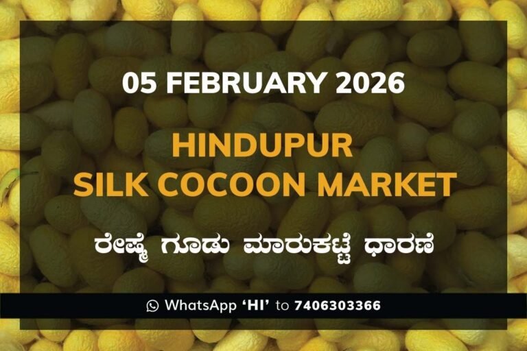 Hindupur Government Silk Cocoon Market Daily Rate Report ಹಿಂದೂಪುರ ರೇಷ್ಮೆ ಗೂಡು ಮಾರುಕಟ್ಟೆ ಧಾರಣೆ