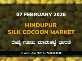 Hindupur Government Silk Cocoon Market Daily Rate Report ಹಿಂದೂಪುರ ರೇಷ್ಮೆ ಗೂಡು ಮಾರುಕಟ್ಟೆ ಧಾರಣೆ