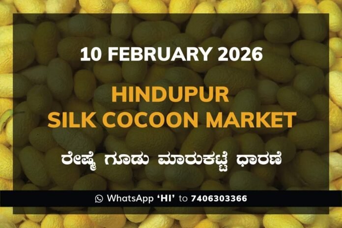 71 Hindupur Government Silk Cocoon Market Daily Rate Report ಹಿಂದೂಪುರ ರೇಷ್ಮೆ ಗೂಡು ಮಾರುಕಟ್ಟೆ ಧಾರಣೆ
