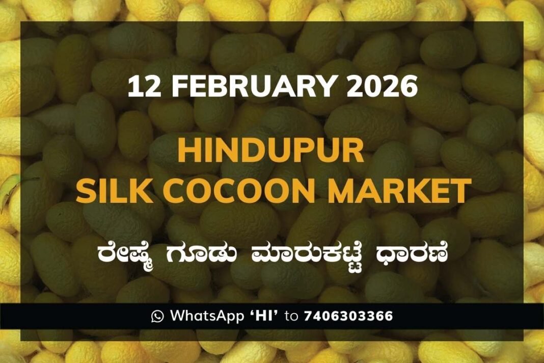 Hindupur Government Silk Cocoon Market Daily Rate Report ಹಿಂದೂಪುರ ರೇಷ್ಮೆ ಗೂಡು ಮಾರುಕಟ್ಟೆ ಧಾರಣೆ