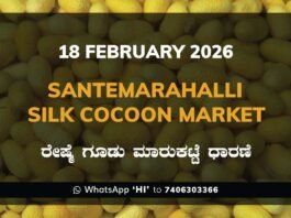 Santemarahalli Silk Cocoon Market: 18 February 2026 Santemarahalli (SM Halli) Government Silk Cocoon Market Daily Rate Report ಸಂತೇಮರಹಳ್ಳಿ ರೇಷ್ಮೆ ಗೂಡು ಮಾರುಕಟ್ಟೆ ಧಾರಣೆ