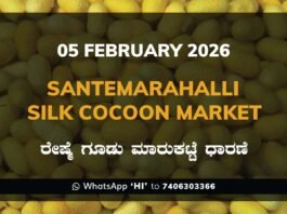 Santemarahalli (SM Halli) Government Silk Cocoon Market Daily Rate Report ಸಂತೇಮರಹಳ್ಳಿ ರೇಷ್ಮೆ ಗೂಡು ಮಾರುಕಟ್ಟೆ ಧಾರಣೆ