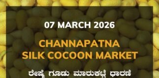 Channapatna Silk Cocoon Market: 07 March 2026 Channapatna Government Silk Cocoon Market Daily Rate Report ಚನ್ನಪಟ್ಟಣ ರೇಷ್ಮೆ ಗೂಡು ಮಾರುಕಟ್ಟೆ ಧಾರಣೆ