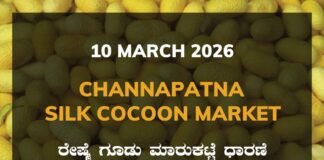 Channapatna Silk Cocoon Market: 10 March 2026 Channapatna Government Silk Cocoon Market Daily Rate Report ಚನ್ನಪಟ್ಟಣ ರೇಷ್ಮೆ ಗೂಡು ಮಾರುಕಟ್ಟೆ ಧಾರಣೆ