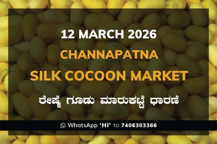 Channapatna Government Silk Cocoon Market Daily Rate Report ಚನ್ನಪಟ್ಟಣ ರೇಷ್ಮೆ ಗೂಡು ಮಾರುಕಟ್ಟೆ ಧಾರಣೆ