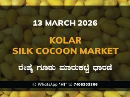 Kolar Silk Cocoon Market Price Rate ಕೋಲಾರ ರೇಷ್ಮೆ ಗೂಡು ಮಾರುಕಟ್ಟೆ ಧಾರಣೆ