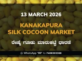 Kanakapura Silk Cocoon Market ಕನಕಪುರ ರೇಷ್ಮೆ ಗೂಡು ಮಾರುಕಟ್ಟೆ ಧಾರಣೆ