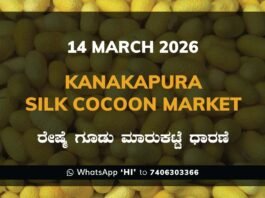 Kanakapura Silk Cocoon Market ಕನಕಪುರ ರೇಷ್ಮೆ ಗೂಡು ಮಾರುಕಟ್ಟೆ ಧಾರಣೆ