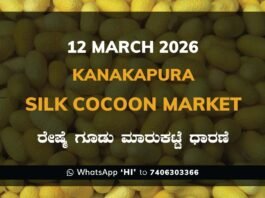 Kanakapura Silk Cocoon Market ಕನಕಪುರ ರೇಷ್ಮೆ ಗೂಡು ಮಾರುಕಟ್ಟೆ ಧಾರಣೆ