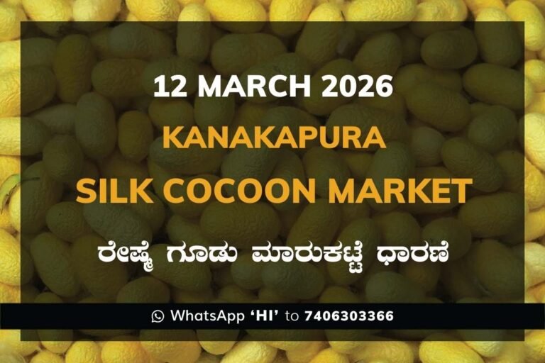 Kanakapura Silk Cocoon Market ಕನಕಪುರ ರೇಷ್ಮೆ ಗೂಡು ಮಾರುಕಟ್ಟೆ ಧಾರಣೆ