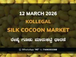 Kollegal Silk Cocoon Market Price Rate ಕೊಳ್ಳೇಗಾಲ ರೇಷ್ಮೆ ಗೂಡು ಮಾರುಕಟ್ಟೆ ಧಾರಣೆ