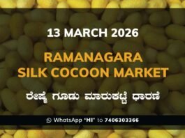 Ramanagara Silk Cocoon Market ರಾಮನಗರ ರೇಷ್ಮೆ ಗೂಡು ಮಾರುಕಟ್ಟೆ ಧಾರಣೆ