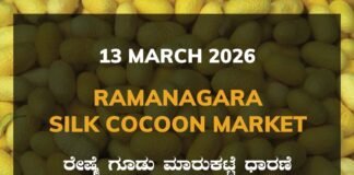Ramanagara Silk Cocoon Market: 13 March 2026 Ramanagara Silk Cocoon Market ರಾಮನಗರ ರೇಷ್ಮೆ ಗೂಡು ಮಾರುಕಟ್ಟೆ ಧಾರಣೆ